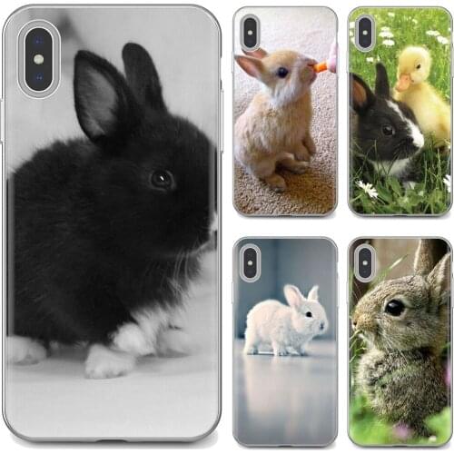 For Huawei P8 P9 P10 P20 P30 P Smart 2019 Honor Mate 9 10 20 8X 7A 7C Pro Lite White Gray Baby Rabbits Poster TPU Silicone Case
