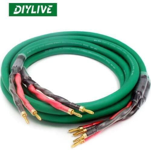 DIYLIVE 2.5 Metres Hi-Fi 4 core bold audio wire McIntosh Fever speaker line speaker line high and low double tone banana head