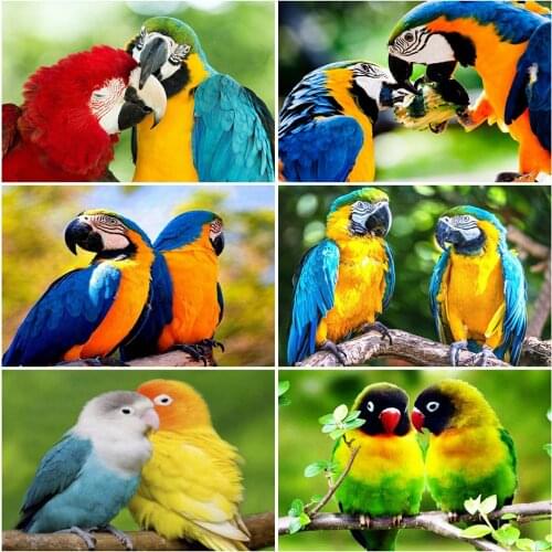 MomoArt Diamond Painting Parrot Cross Stitch Kits 5D DIY Full Square Diamond Embroidery Animal Christmas Decoration