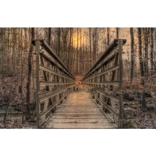 Fall bridge trees wood drawbridge photo studio background High quality Computer print wedding backdrop