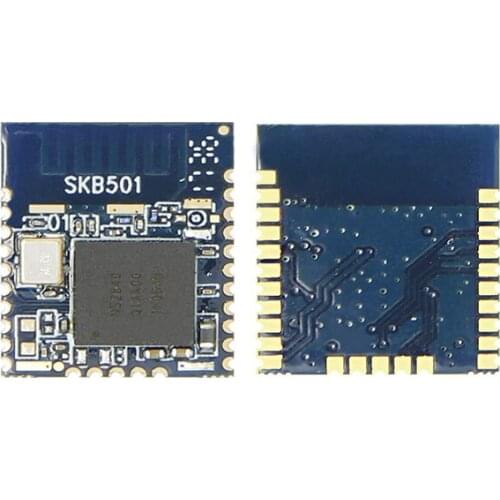 SKYLAB Long Distance ARM-M4 Core bluetooth dongle 5.0,bluetooth 5.0 dongle,nRF52 nrf52840 bluetooth 5.0 module