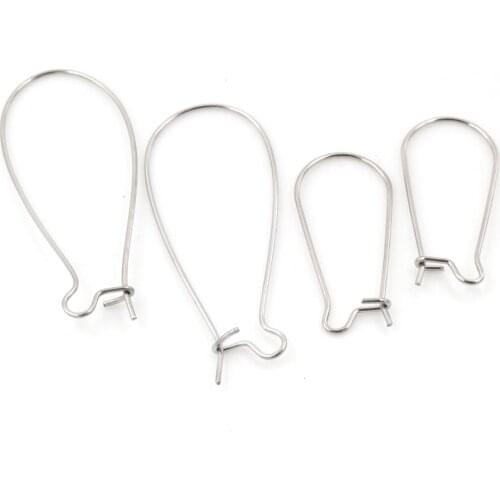 50pcs/Lot 9X18mm/11x24mm/16x38mm 316 Stainless Steel Earring hooks Kidney Earring Ear Wires Findings DIY Jewelry Making