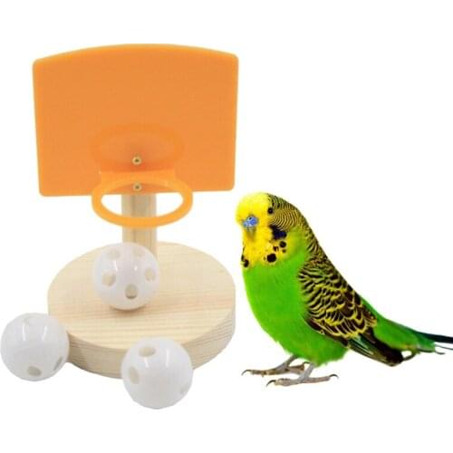 Pet Birds Chew Toys Parrot Basketball Hoop Props Parakeet Bell Balls Intelligence Training Puzzle Gifts
