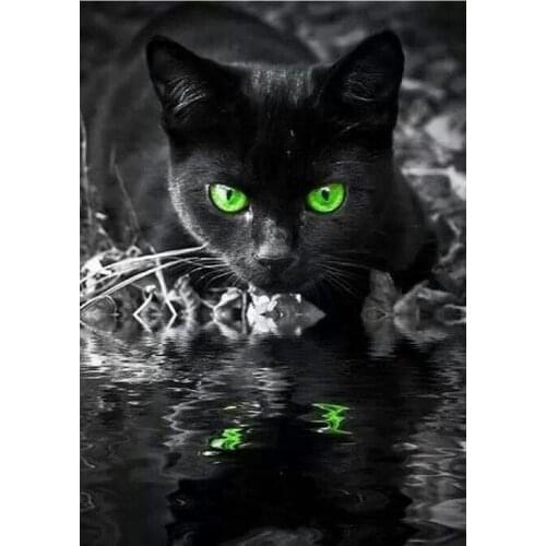 5D DIY Diamond Painting Animal Black Cat Full Square/Round Art Picture 3D Embroidery Mosaic Cross Stich Kit Stickers Decor DF572