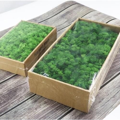 Artificial Plant Immortal Fake Flower Moss wall Home Living Room Artificial Moss Wall Decorative Fake Moss Stabilized Moss