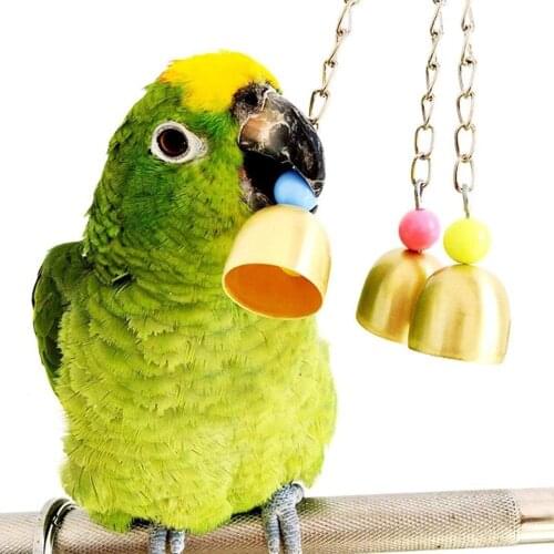 PipiFren Bird Toys For African Pets Bell Perch Budgie Parakeet Cockatiel Cage Decoration Supplies Grey Parrots jouet perroquet