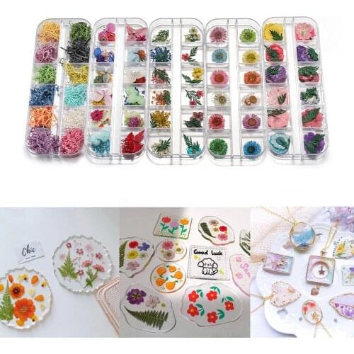 1 Box Dried Flower Mixed Natural Flowers For Epoxy Resin Pendant Necklace Jewelry Making Craft DIY Accessories/DIY Nail Art