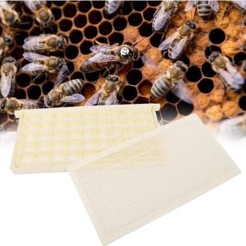 Plastic Queen Cage Frame for Queen Rearing Box Kit Beehive Frame Style Queen Rearing System Beekeeping Kits