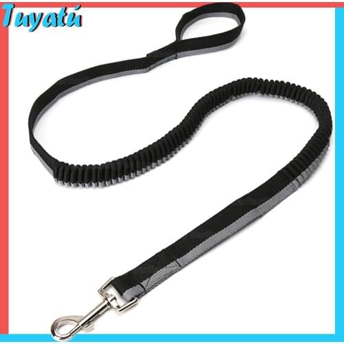 Large Small Retractable Dog Leash Elasticity Ployester Elastic Pet Dog Leash for Dogs Outdoor Running Dog Accessory Harness