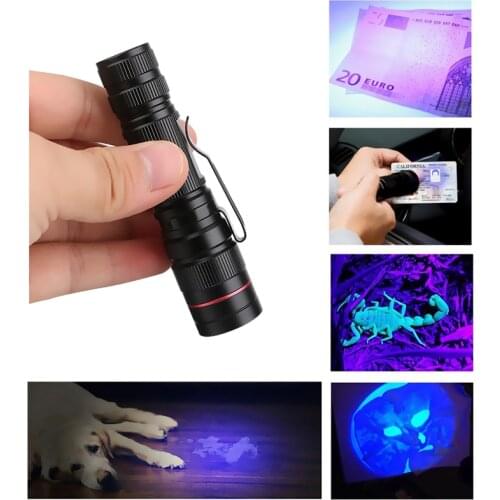 LemonBest Portable Lamps