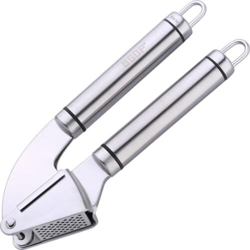 SSGP Garlic And Garlic Press
