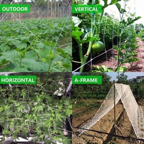 Garden Plants Climbing Net Vine Tomatoes Grapes Beans Melons Dragon Fruit Clematis Petunias Climbing Net for Home Garden Use