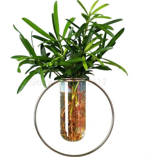 Wall pendant creative wall living room wall decoration wall vase green rose flowerpot hydroponic glass decoration