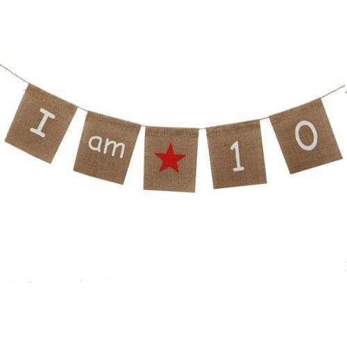 1pcs 10th Birthday Banner Decorations for Girls DIY Decoration for Holidays, Wedding, Camping, Party and Any Occasion