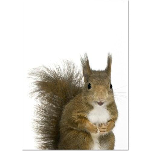 Nordic Animal Home Art Decor Picture Rabbit Squirrel Quality Canvas Painting Poster Nursery Kids Room Living Wall Decor