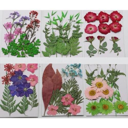12pcs/set Pressed Dried Leaf Leaves+Flowers For Jewelry Phone Case Postcard Scrapbook Craft DIY Accessories DH305-310