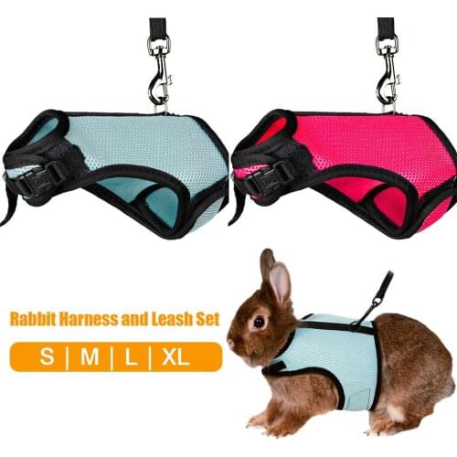 Pet Mesh Soft Harness With Leash Small Animal Vest Lead for Hamster Rabbit Bunny Small Animal Pet Sccessories Belt lead set