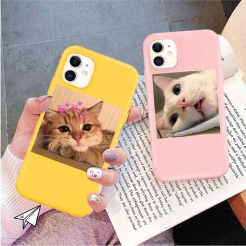 Candy Color Cute Cat Photo Phone Case For iPhone 12 11 Pro X XR XS Max SE 2020 7 8 Plus 5 6 6s Shockproof Soft Silicone Cover