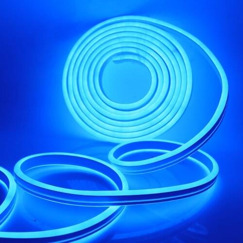 Neon Strip 220V SMD2835 Led Strip Light Waterproof 120led/m Flexible LED Neon Sign Lights Outdoor Decoration with EU Plug