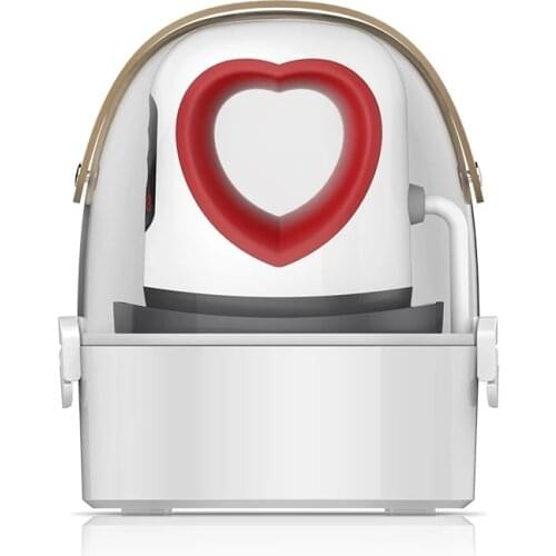 Mini Portable Heat Press Machine Sublimation Digital Transfer Printing Machine