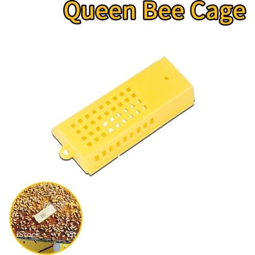 10pcs Bees Queen Cage Beekeeping Equipment and Apicultura Tools for Beekeeper Bee keeping