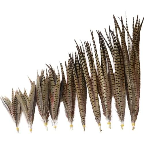 10Pcs/Lot Natural Pheasant Tail Feathers for Crafts 25-75 CM Wedding Party Decoration Ringneck Feather Plumes Carnival Accessory