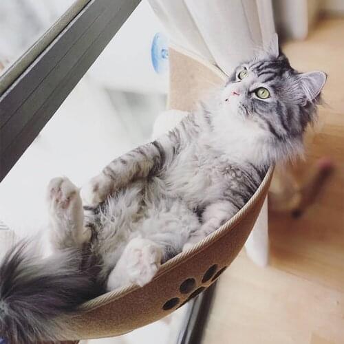 Cat Pet Window Bed Hammock For Cat House Window Perch Seat Bed Sofa Cushion Hanging Shelf Seat with Suction Cup pet house