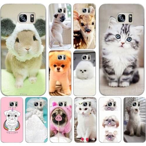 59DD Cute Animals Funny Cat Dog Tiger Soft Silicone Cover Case for Samsung Galaxy S6 S7 edge S8 S9 S10 plus A70 A50 case