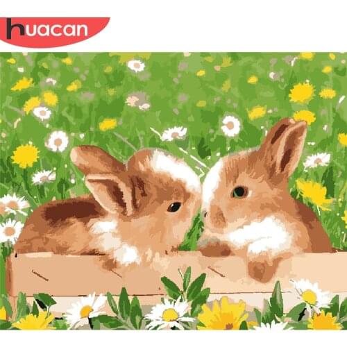 HUACAN Paint By Number Rabbit Drawing On Canvas Gift DIY Pictures By Numbers Animal Kits Hand Painted Painting Art Home Decor