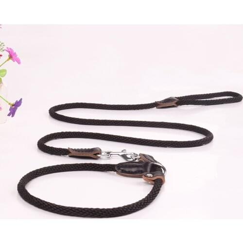 Dog leads and collars designer dog collars and leashes cute dog collars and leashes best matching dog collars and leashes