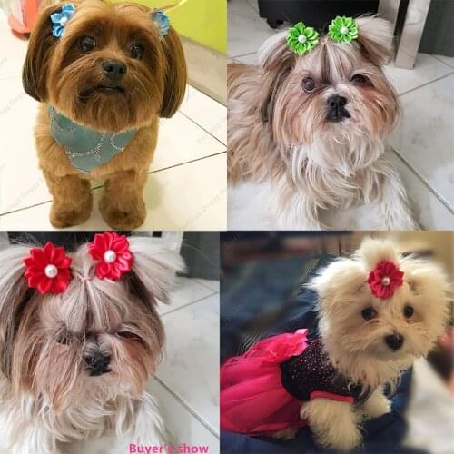 Pet Puppy Dog Cat Hair Bows Rubber Bands Flowers Pearls Pet Grooming Bows Hair Accessories Pet Supplies pet grooming