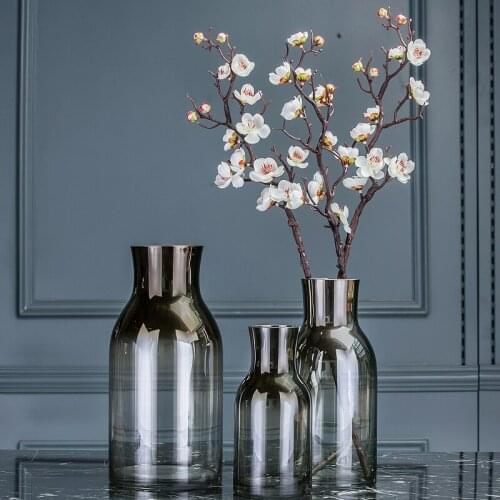 Simple Modern Transparent Glass Vase Living Room Desktop Flower Creative Home Soft Decoration Ornaments
