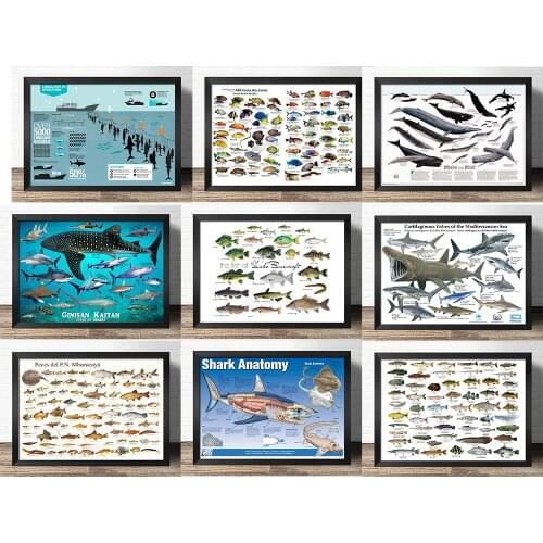 Popular science decorative painting early education -Whales, sharks, salmon fish -Atlas art painting Retro poster kraft paper