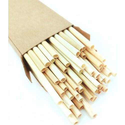Eco-Friendly 50pcs/Pack Bamboo Drinking Straws cutlery Reusable Suitable for Party /Birthday/Wedding /Bar/restaurant Tools