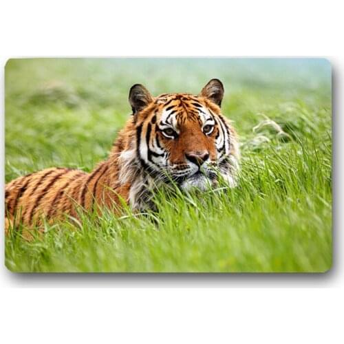Tiger Bath Mat Customized Rectangular Mats Personalized Entrance Doormats Washable Kitchen Floor Bathroom Rugs