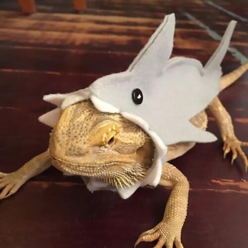 Lizard Bearded Dragons Shark Costume Handmade Felt Harness Reptile Apparel Photo Gift Lizard Clothes for Geckos Reptiles