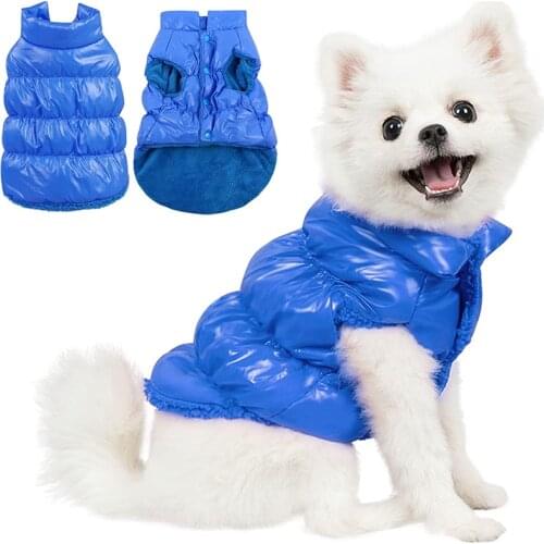 LDLC Jackets For Dogs