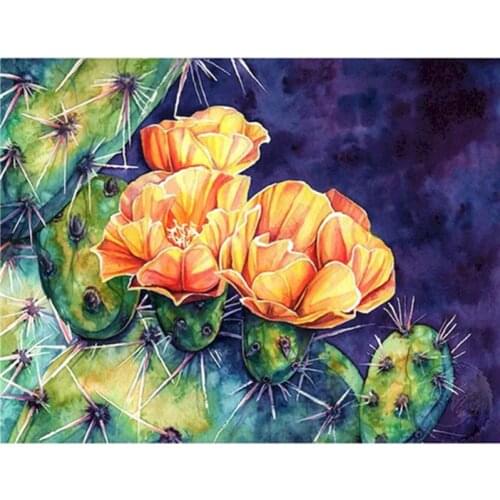 Paints By Numbers Flower Cactus Yellow Flower DIY Pictures Oil Painting By Numbers Set Gift Coloring By Numbers Canvas Wall Set