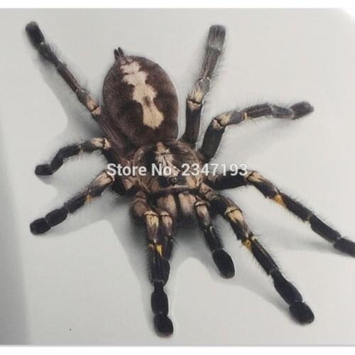 Car 3D StickerS AND decal Scratch cover for Lada Granta Kalina 2 1 Priora Vaz Niva Largus 2107 For Ford Focus 2 3 1 Fiesta Mond