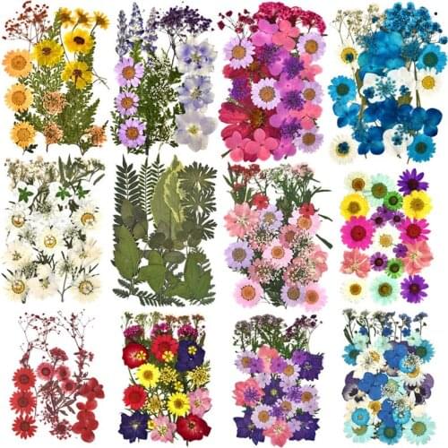 1 Pack Real Dried Flower Dry Plants for DIY Resin Mold Fillings Resin Pendant Necklace Jewelry Making Nail Art UV Expoxy Flower