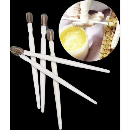 80PCS Beekeeping Royal Jelly Pen Pens Bee Milk Taking Out Squeegee Take Pulp Grafting Pulps Tool Bees Equipment Tools Supplies