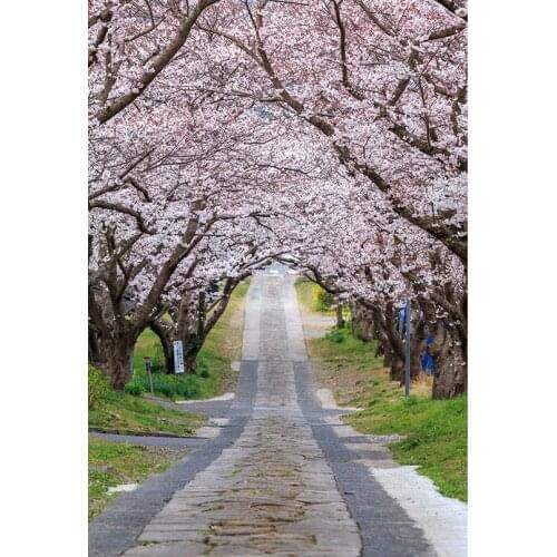 Natural Scenery Photography Backdrops Flowers Road Backgrounds for Photo Studio Vinyl Cloth Computer Printed Portrait Photoshoot