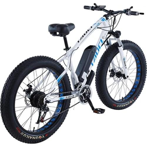 Electric Bike Bicycle Off Road Two Wheels Electric Bicycles High Carbon Steel White/Black Mountain Fat E Bike Scooter 750W 48V
