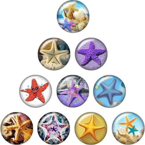 Starfish dolphin Jellyfish 10pcs mixed 12mm/16mm/18mm/25mm Round photo glass cabochon demo flat back Making findings