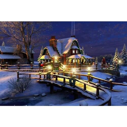 14/16/18/27/28 Top Quality Beautiful Counted Cross Stitch Kit Abstraction Beauty and Grape snow house scenery