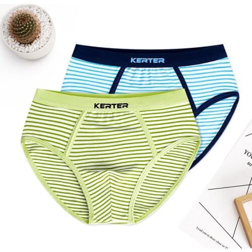 2Pcs/Lot Boy Briefs Kids Underwear Triangle Cotton Childrens Underwear Boys Teen Underpants