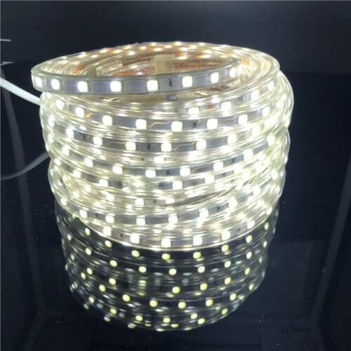 ECLH AC 220V 1M 60LED IP65 Waterproof 5050 SMD Flexible LED Strip light white / warm white / blue / green / red / led lamp Tape