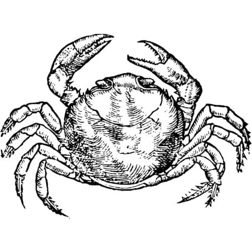 2021 New Retro Ocean Animal Crab Pattern Clear Stamps For DIY Craft Making Greeting Card and Scrapbooking No Metal Cutting Dies