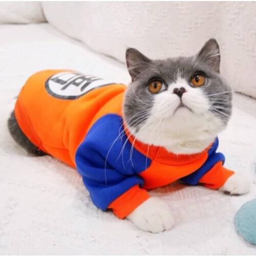 Cartoon Pet Cat Costume Summer Cat Vest Hoodie Cozy Mascoats Gotos Clothes for Cats Katten Coat Kedi Clothing Sweatshirt Outfit