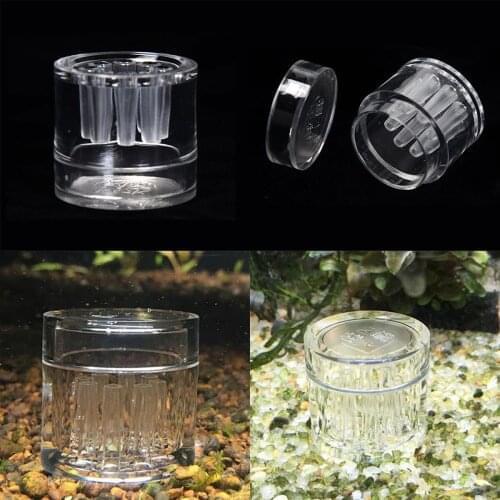 For Worm Leech Catch Trapping Clear Box Tool DH 8 Hole Aquarium Fish Tank Planaria